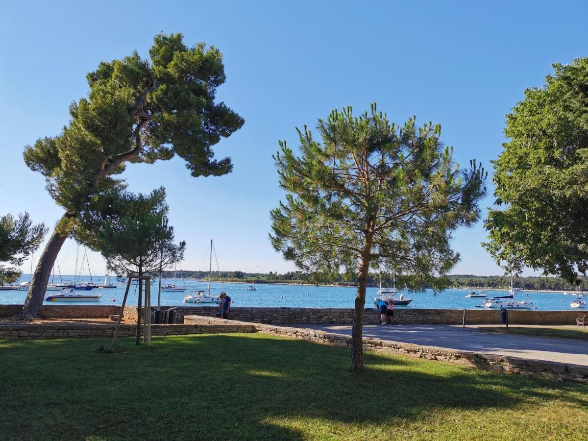 Ivan B&B, 5 Star Superior Room, Near The See And Park Novigrad  Екстер'єр фото