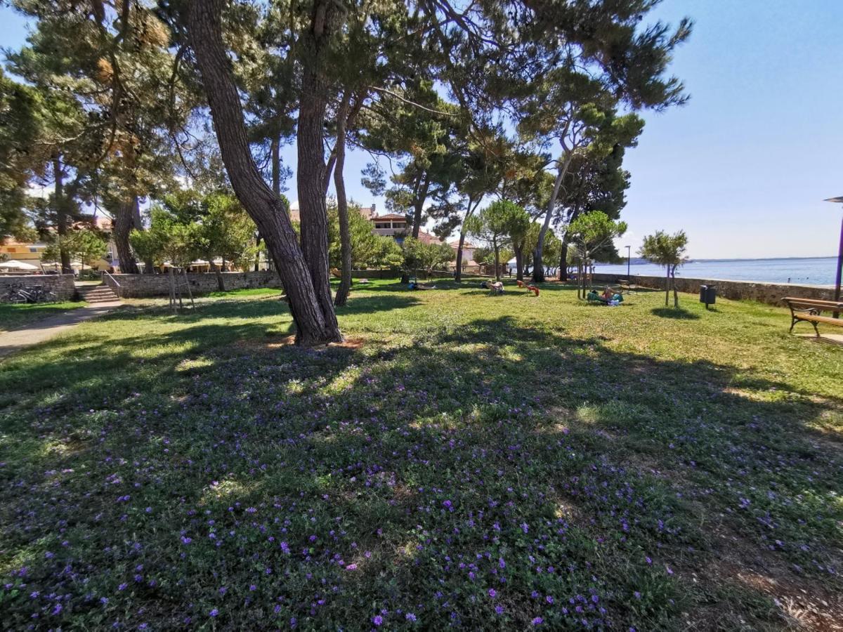 Ivan B&B, 5 Star Superior Room, Near The See And Park Novigrad  Екстер'єр фото