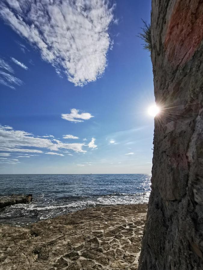 Ivan B&B, 5 Star Superior Room, Near The See And Park Novigrad  Екстер'єр фото